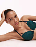 Vera Lace Wired Push Up Plunge Bra (A-E)