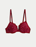 Cleo Lace Wired Push-Up Plunge Bra (A-E)
