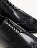 Leder-Brogues