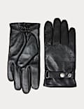 Leather Perforated Gloves