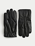 Leather Zip Gloves