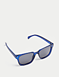 D Frame Polarised Sunglasses