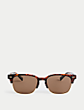 D Frame Polarised Sunglasses