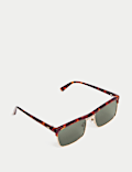 Gafas de sol con diseño Browline