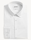 Regular Fit Pure Cotton Twill Shirt