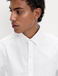 Regular Fit Ultimate Non Iron Shirt