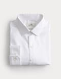 Regular Fit Ultimate Non Iron Shirt