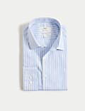 Regular Fit Ultimate Non Iron Cotton Striped Shirt