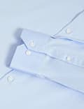Regular Fit Pure Cotton Stretch Shirt