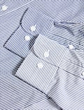 2pk Regular Fit Easy Iron Cotton Blend Poplin Shirts