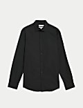Regular Fit Easy Iron Pure Cotton Shirt