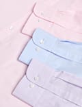 Pack de 3 camisas de manga larga de ajuste estándar de planchado fácil