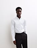 Chemise Oxford de luxe coupe standard 100 % coton