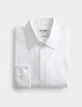 Chemise Oxford de luxe coupe standard 100 % coton