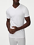 3pk Pure Cotton V-Neck T-Shirt Vests