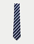 Striped Pure Silk Tie