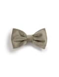 Velvet Bow Tie