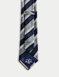 Striped Pure Silk Tie
