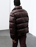 Chaqueta acolchada de plumas y plum&oacute;n con cuello chimenea