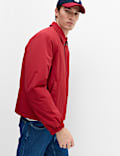 Zip Through Padded Harrington Jacket