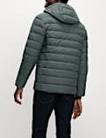 Veste légère matelassée garnie de plumes et de duvet