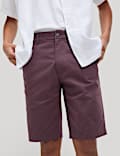 Short chino extensible coupe standard