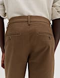 Short chino extensible coupe standard