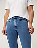 Big & Tall Straight Fit Pure Cotton Jeans