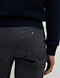 2pk Regular Fit Stretch Chinos