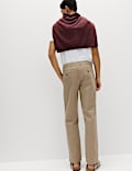 Regular Fit Stretch Chinos