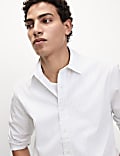 Pure Cotton Striped Oxford Shirt