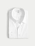 Easy Iron Pure Cotton Shirt