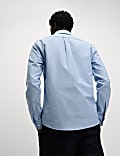 Pure Cotton Ultimate Oxford Shirt