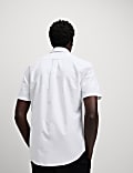 Ultimate Pure Cotton Oxford Shirt