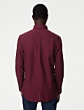 Easy Iron Pure Cotton Oxford Shirt
