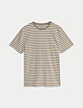 Regular Fit Crew Neck Striped T-Shirt