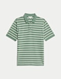 Cotton Rich Striped Polo Shirt
