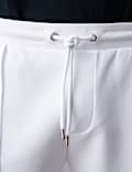 Regular Fit Elasticated Waist Shorts