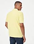 Pure Cotton Polo Shirt