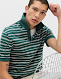 Pure Cotton Yarn Dye Striped Polo Shirt