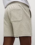 Waffle Pure Cotton Regular Fit Shorts