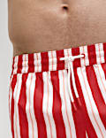 Quick Dry Deckchair Striped Swim Shorts