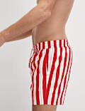 Quick Dry Deckchair Striped Swim Shorts