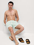 Quick Dry Deckchair Striped Swim Shorts