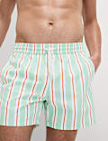 Quick Dry Deckchair Striped Swim Shorts