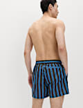 Quick Dry Striped Swim Shorts