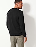 Pure Cotton V-Neck Jumper