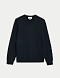 Pure Extra Fine Lamsbwool V-Neck Jumper