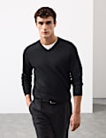 Pure Extra Fine Merino Wool V-Neck Jumper
