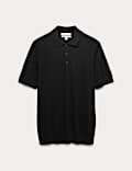 Pure Extra Fine Merino Wool Knitted Polo Shirt